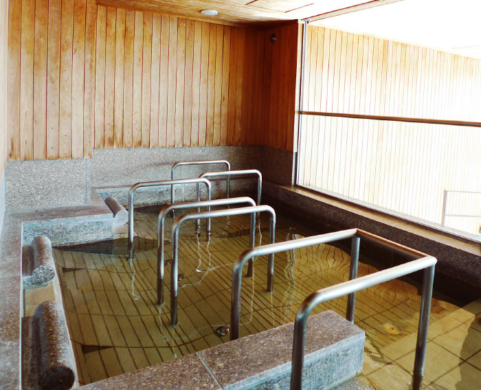 夕阳红（日本老人院考察）